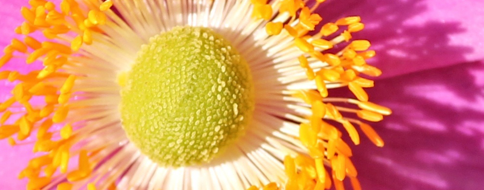 Retreat Kloster Nütschau 3 Tage Birgit Hartmann-Pool