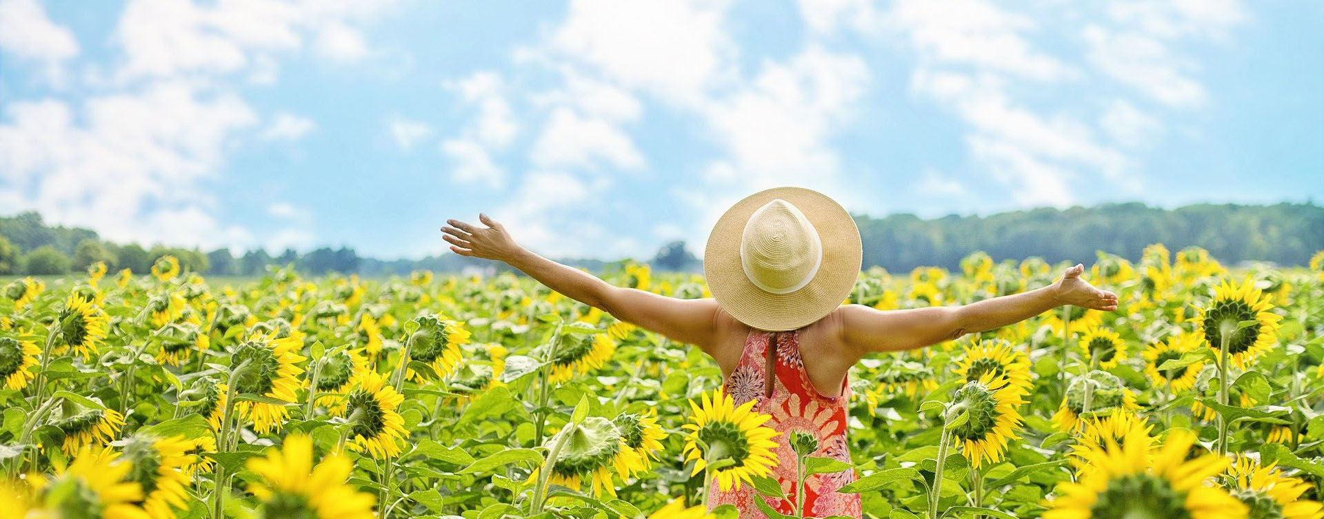 Sommer Retreat